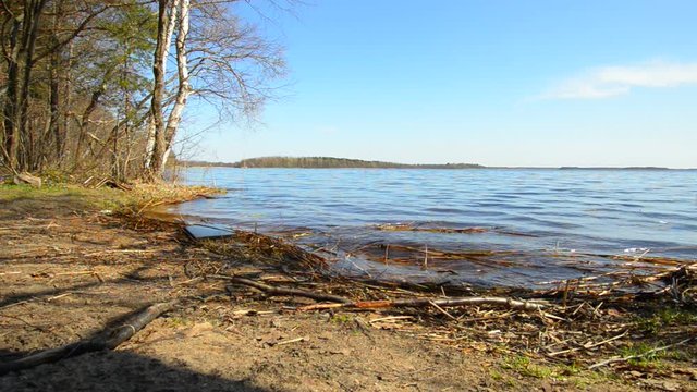 Spring. The waves of a large lake lazily roll ashore in the forest.