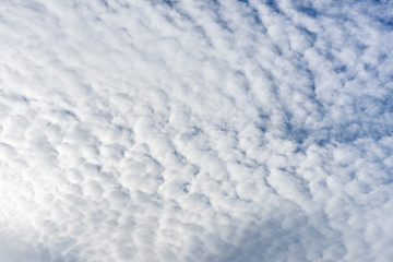 BLUE SKY WITH CLOUDS IN SPRING