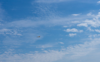 CLOUDY SKY WITH SEAGULLS IN SPRING
