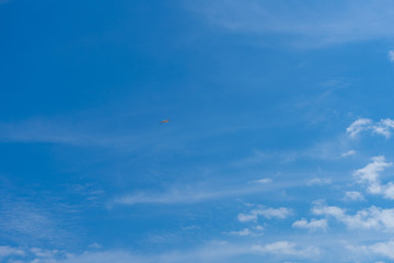 CLOUDY SKY WITH SEAGULLS IN SPRING