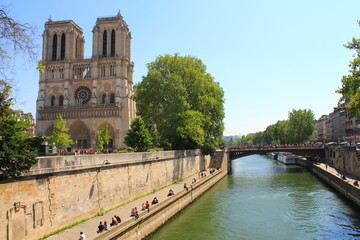 Fototapeta na wymiar Notre Dame and Seine