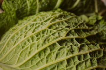 Raw fresh green cabbage texture and background. Close up view with selective focus. 