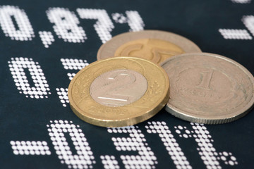 Münzen Polnische Zloty PLN und Börse in Polen