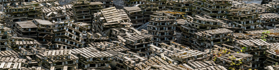 Discarded wooden pallets - banner image