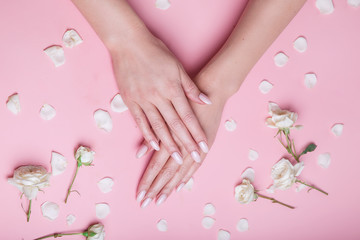 Beautiful woman's nails with natural manicure and roses on pink background