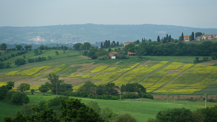 Fototapeta na wymiar Panorama della Val di Chiana dall'abbazia di Farneta a Cortona.