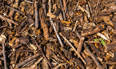 Wood cod background, texture
