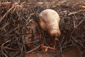 A broken dark lamp on the black burned grass.