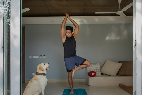Man standing in tree pose during yoga exercise with his dog sitting calmly next to him.
