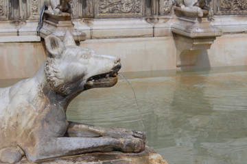 Fototapeta na wymiar fontana di trevi
