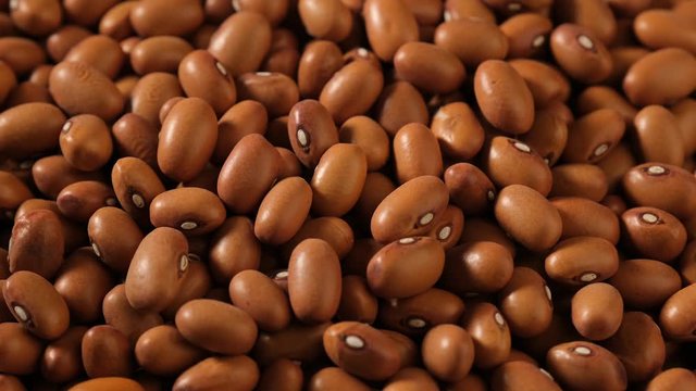 Food video of dried uncooked brown kidney beans, rotating. Raw cereal. Macro.