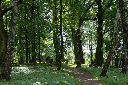 Cmentarz, Lesko