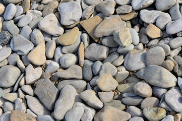 Natural pebble background. Gray pebbles close-up.