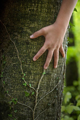 Taking care for nature, go green.