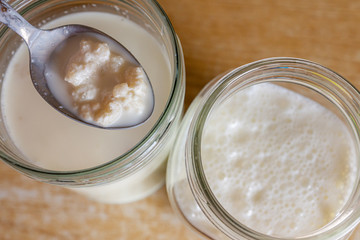 Close up of adding kefir starter grains to fresh organic farm milk. Home production of healthy sour low lactose carbonated drink rich in good probiotic bacteria for gut. Optionally vegan with nut milk