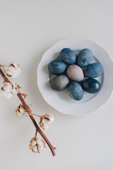 Easter blue eggs with cotton on the table