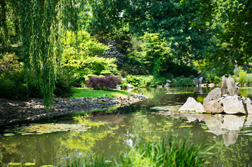 Fototapeta na wymiar Summer japanese garden. Beautiful nature. City park