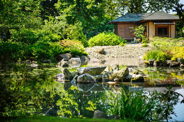 Naklejka premium Summer japanese garden. Beautiful nature. City break