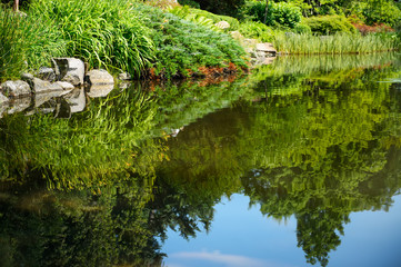 Fototapeta na wymiar green trees reflection in a lake