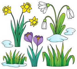 Peel and stick wall murals For kids Early spring flowers theme set 1