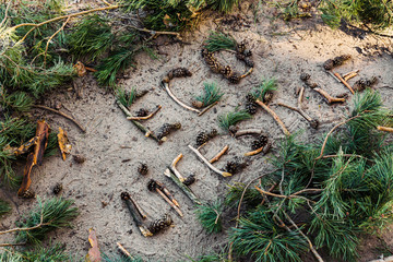 Eco lifestyle. Creative layout. Frame of branches. Top view.