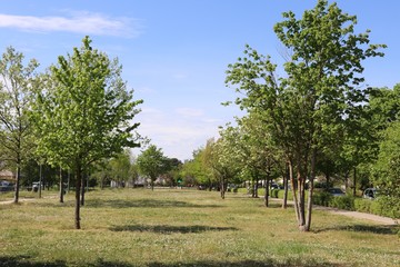 Fototapeta na wymiar Le parc Bourlione à Corbas, grand espace vert - Ville de Corbas - Département du Rhône - France