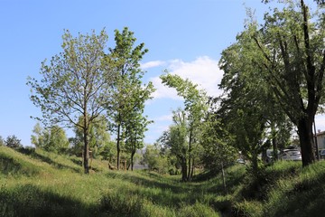 Le parc Bourlione à Corbas, grand espace vert - Ville de Corbas - Département du Rhône - France