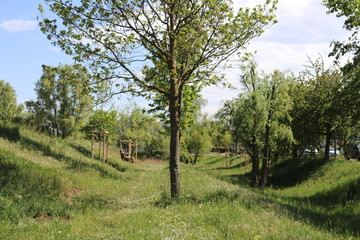 Le parc Bourlione à Corbas, grand espace vert - Ville de Corbas - Département du Rhône - France