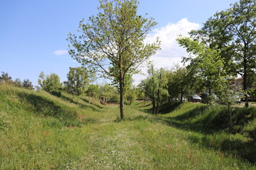 Le parc Bourlione à Corbas, grand espace vert - Ville de Corbas - Département du Rhône - France