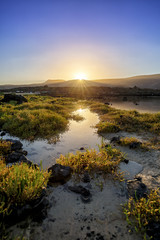 Lanzarote III