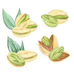 Watercolor Nuts. Hazelnut, Cashew, almonds, walnut set. Illustration for menu, catalog, restaurant, cartoon, game, kitchen, textile, decor.