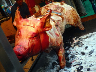 pig turns on the embers