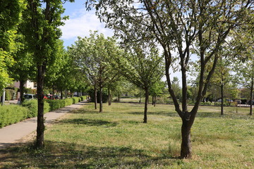 Le parc Bourlione à Corbas, grand espace vert - Ville de Corbas - Département du Rhône - France