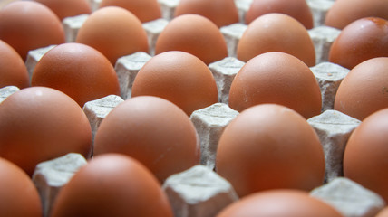 Chicken Eggs in the container