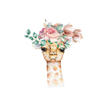 Poster with a baby giraffe. Watercolor cartoon giraffe tropical animal illustration. Jungle exotic summer design