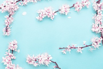 Obraz na płótnie Canvas Sakura blossom flowers and may floral nature on blue background. For banner, branches of blossoming cherry against background. Dreamy romantic image, landscape panorama, copy space.