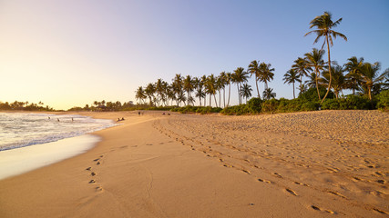 Tropical beach with palm trees at sunset, Sri Lanka.