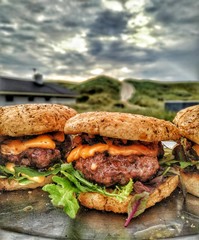 Burger hinter Dünen