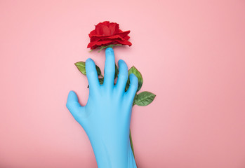 Blue medical gloves catching red plastic roses  isolated on pink background, Blank for design. Top view Blank for design..