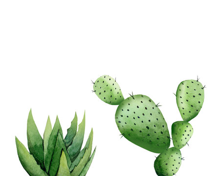 Aloe vera leaves and cactus. Plant set. Watercolour illustration isolated on white background.