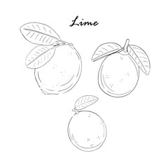 Lime sketch set