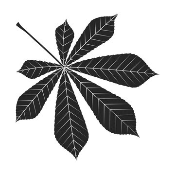 Chestnut leaf vector icon.Black vector icon isolated on white background chestnut leaf .