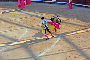 passe du torero