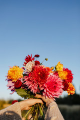 Beautiful flower bouquet