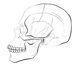 Skull of African man, from a side in the old book The Human, by K. Fogt, 1866, St. Petersburg