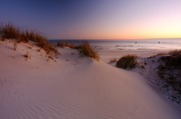 Wydmy na wybrzeżu Morza Bałtyckiego,plaża w Dźwirzynie o wschodzie słońca. - obrazy, fototapety, plakaty