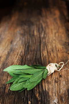 sage- bunch applies herbs on a wooden table - background