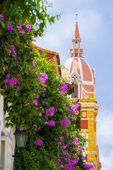 Cathedral church in old town cartagena  - obrazy, fototapety, plakaty