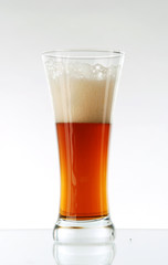 Glass of beer