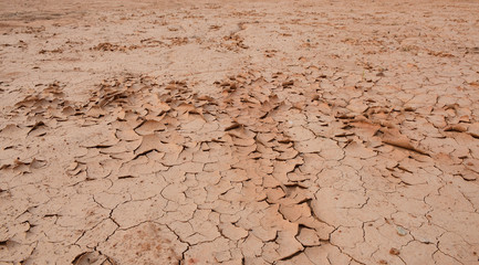Textured background of cracked dry brown earth